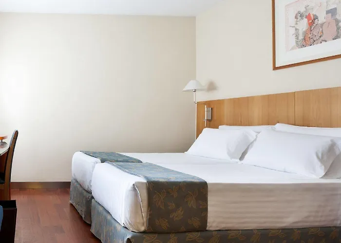 酒店 Occidental 4*